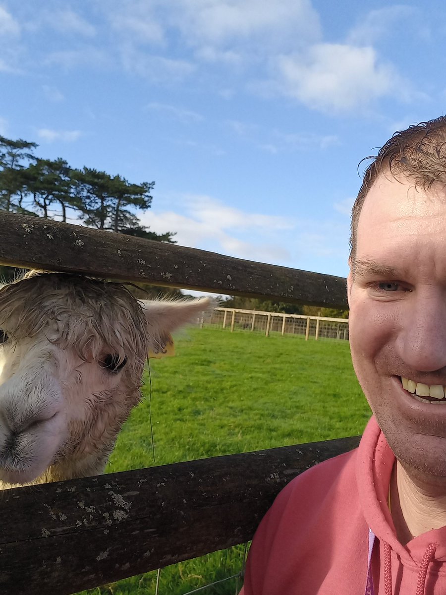 Mark Pedler tweet media