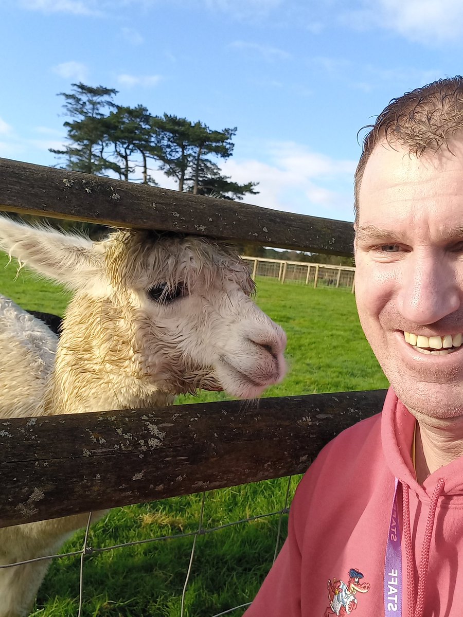 Mark Pedler tweet media