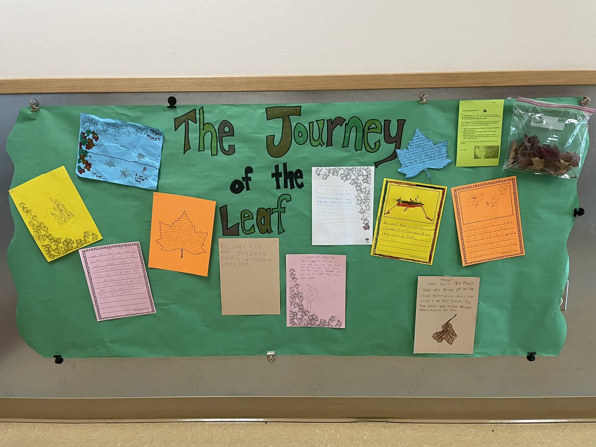 Jones_Teaches's tweet photo. We loved writing about the journey these leaves took that were sent to us from Maine! We love this annual tradition of exploring a sign of the changing seasons from other places. Fall fun! 🍁 @HMECardinals #hmeproud https://t.co/lXafe2Rmgh