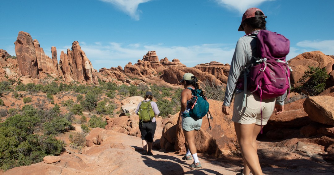 Arches seeks public feedback about visitor experiences and long-term strategies for visitor access. Now through 12/1/23, you are invited to submit your comments. Input received will be used to inform strategies for the future. Find more info: nps.gov/arch/learn/new…