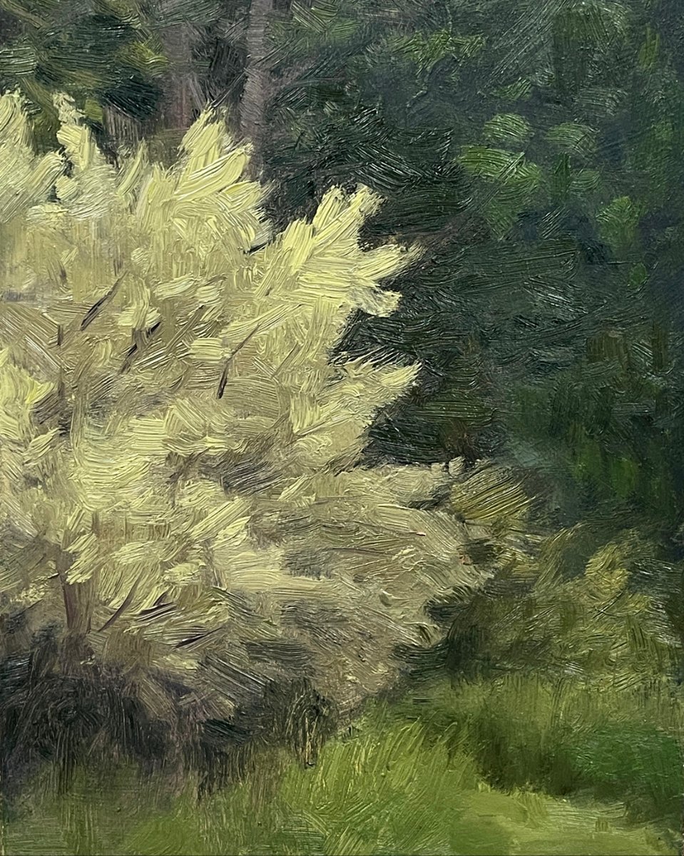 I have fond memories of painting this piece just after the early buds of spring had come into their full bloom. It's amazing just how much the landscape have changed over those few summer months. This same spot has now  become a tangled overgrowth.
#oilpainting #pleinairpainting