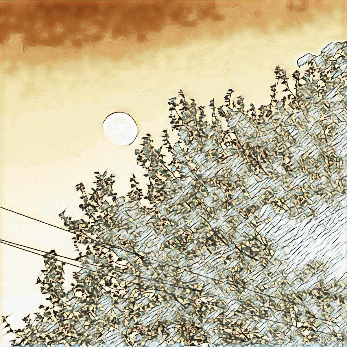 madame_poetry's tweet image. “Good Night”

Moon
Landing

Hard
Standing

Stars
Raining

World
Waning 

Bats
Winging

Owls
Singing

Night
Falls

Darkness
Calls

Wee
Hours

Fox
Cowers

Dreams
Made

Night
Shade

Tossing 
Turning 

Memories
Burning

Weep
Sleep

Deep
So deep…

And
Peace.

#poetryhour #Moonpower