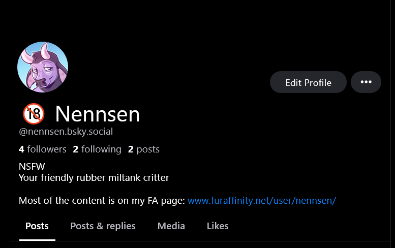 nennsen.bsky.social tweet media