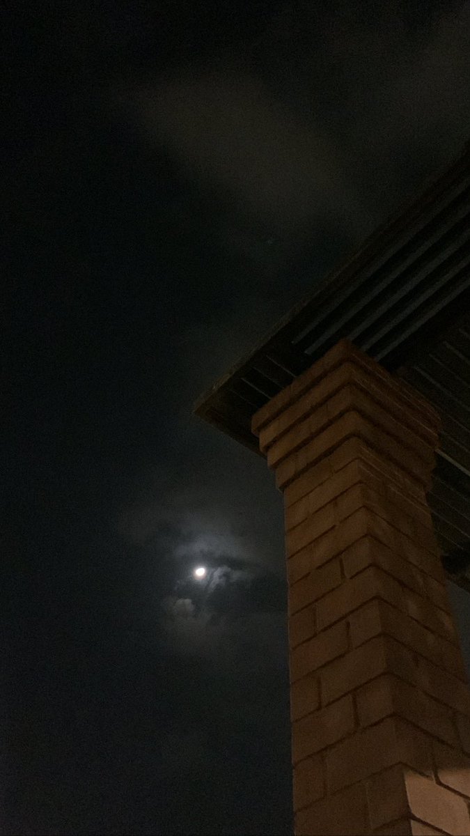 7yuil_'s tweet photo. يوم جميللل جداً 🤍🤍 https://t.co/z8iRg4HWRI