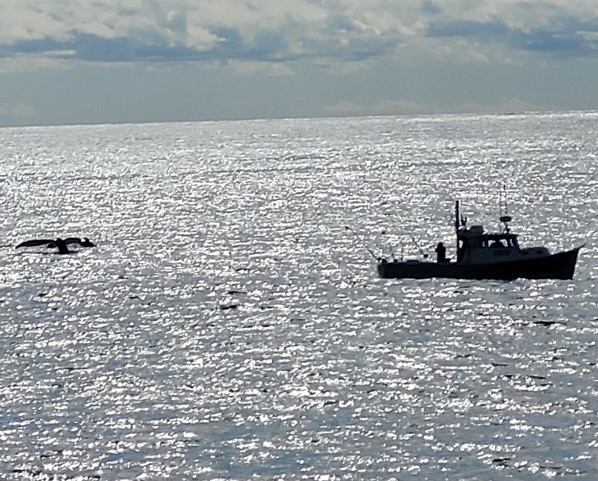 Emma Hill tweet media