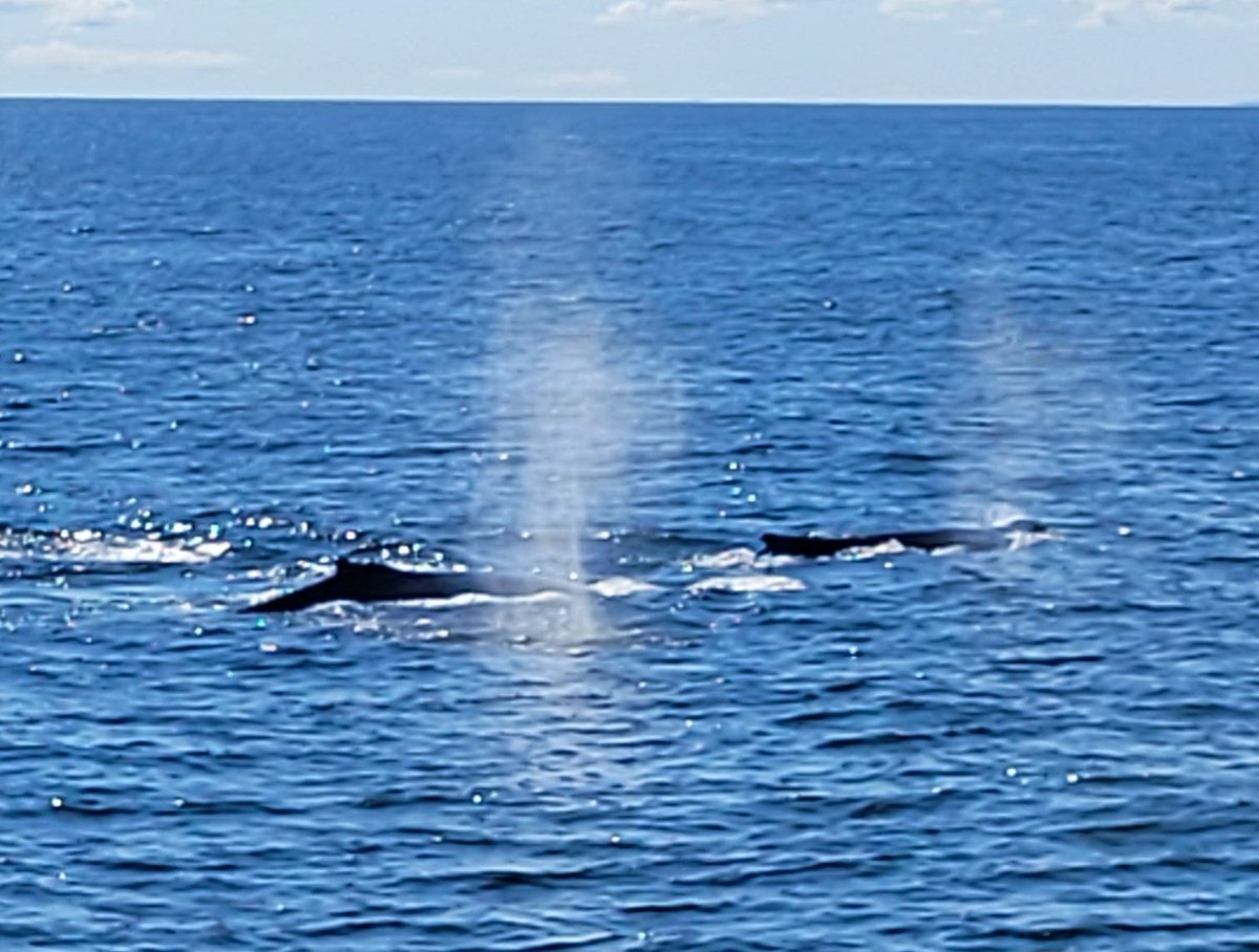 Emma Hill tweet media