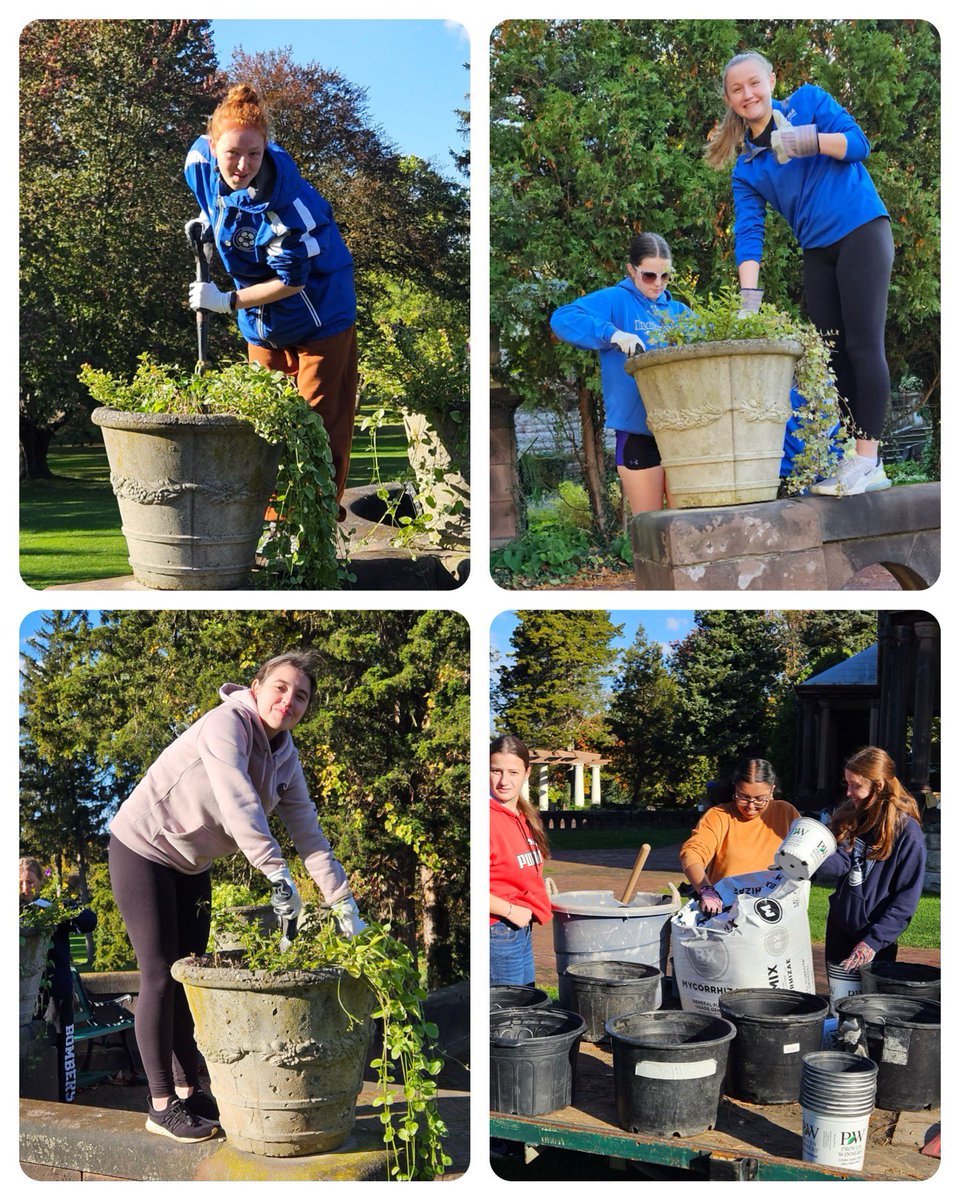 BloomfieldSHS's tweet photo. Community service at Sonnenberg Gardens 💙🤍 https://t.co/Jh7MHsnt88