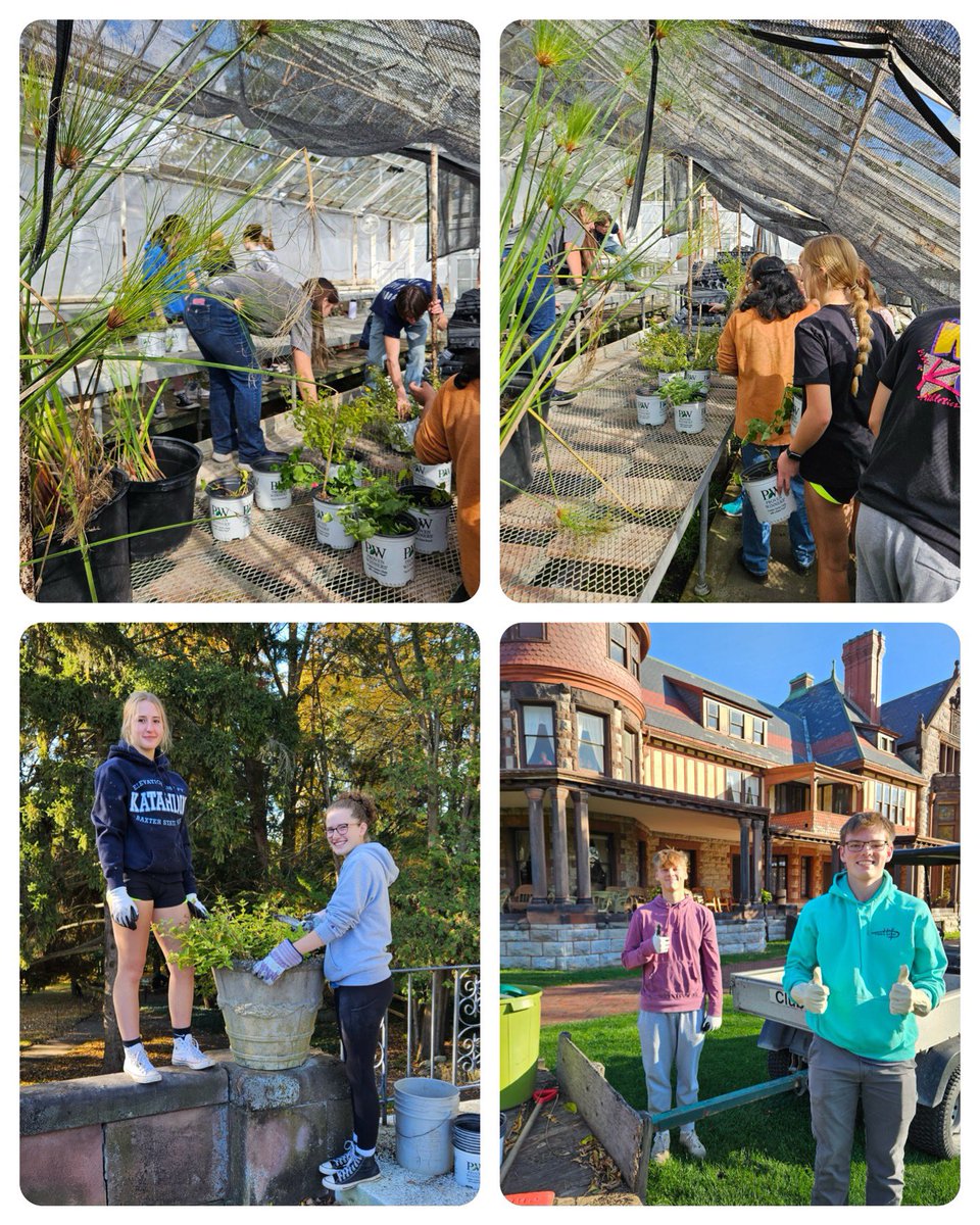 BloomfieldSHS's tweet photo. Community service at Sonnenberg Gardens 💙🤍 https://t.co/Jh7MHsnt88