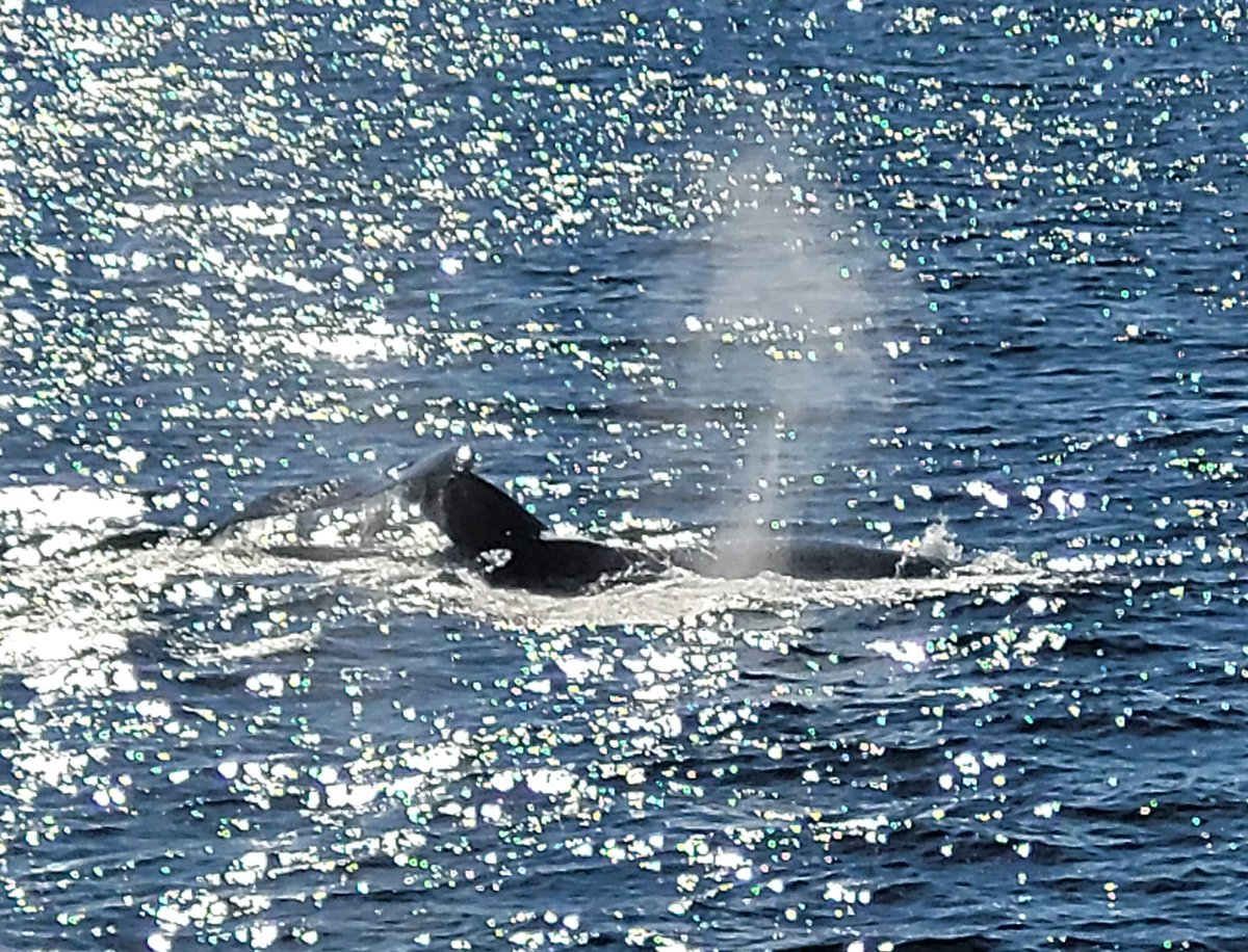 Emma Hill tweet media