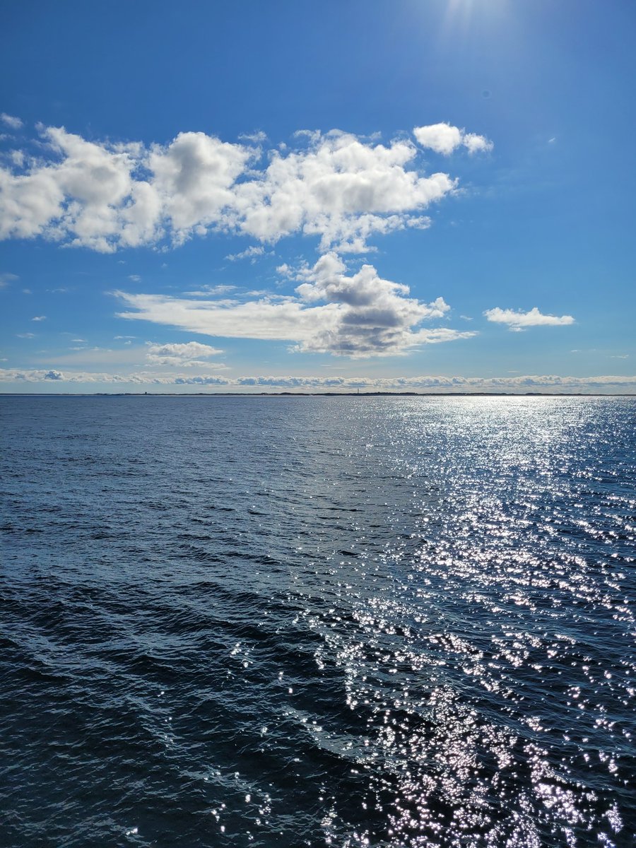 Emma Hill tweet media