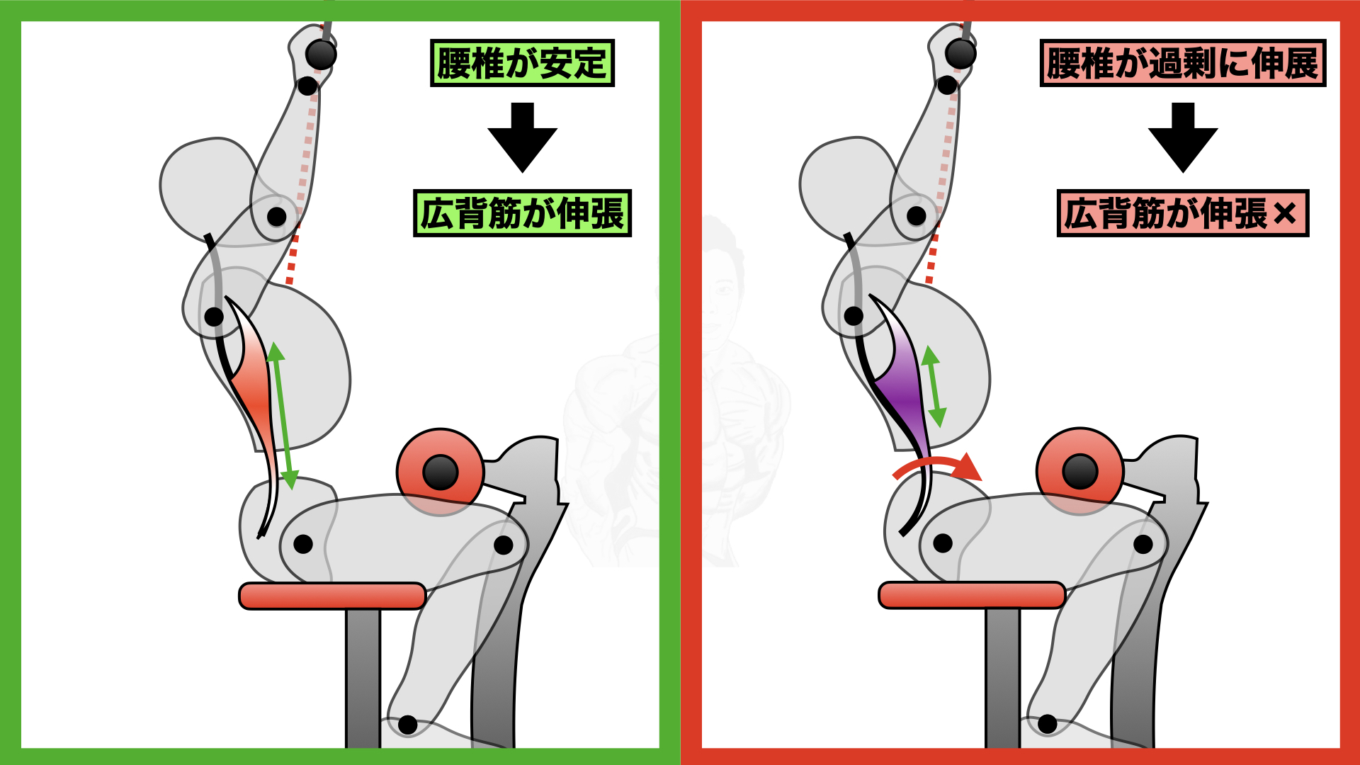 【広背筋をこよなく愛する】25kg×2 71fkSNDNEdL._UF894,1000_QL80_.jpg