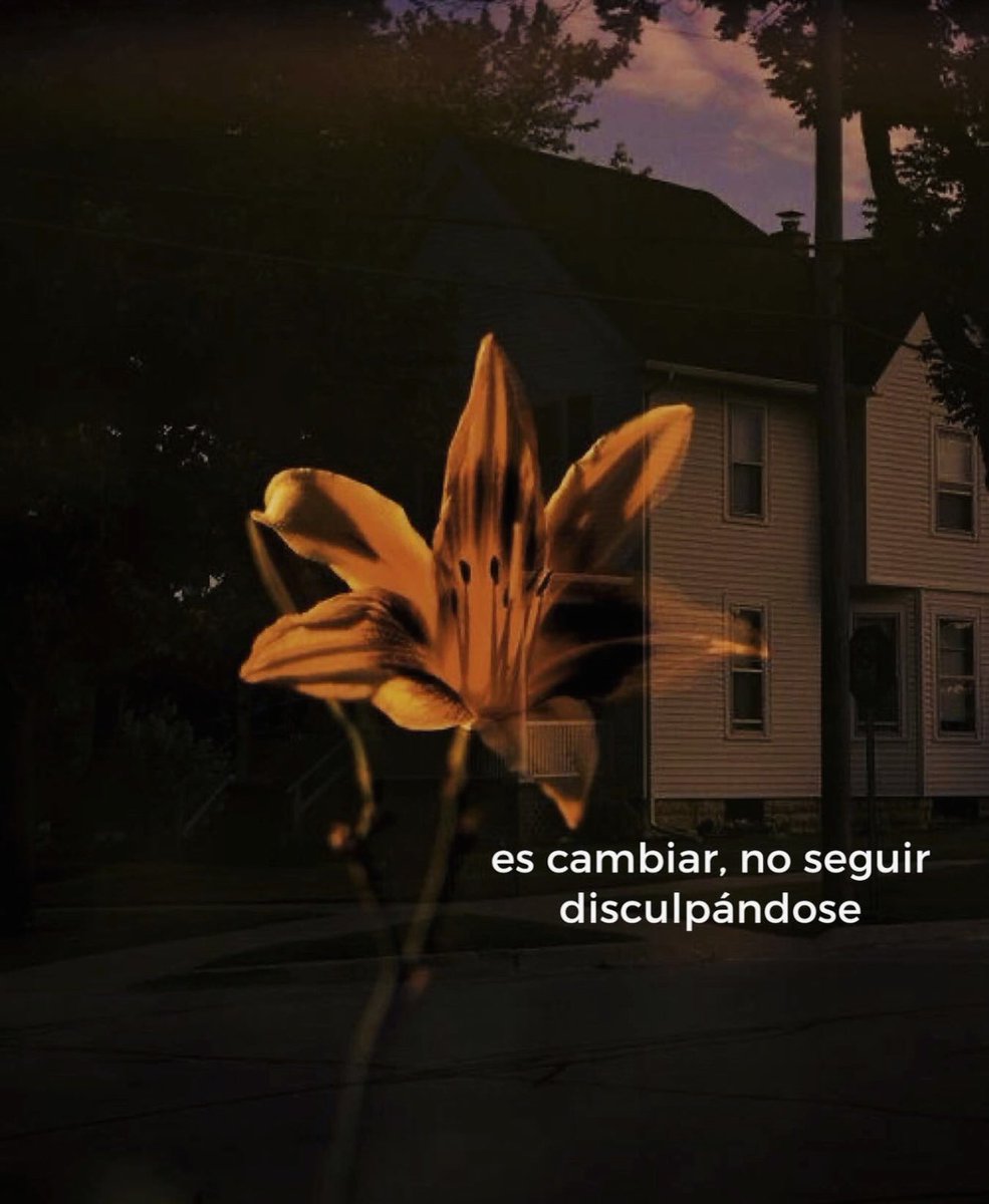 ramé (@escritosrame) on Twitter photo 