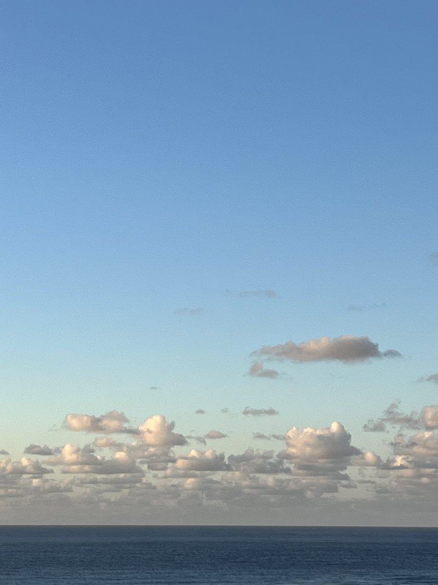 NGSaid98's tweet photo. Últimas en casa 🧡☁️ https://t.co/pzCHZutIqU