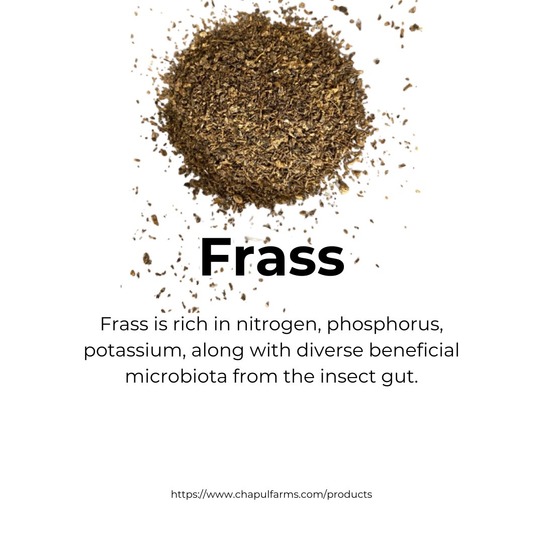 ChapulFarms's tweet photo. How Frass Fixes Soil
2 https://t.co/iEynNl5QWi