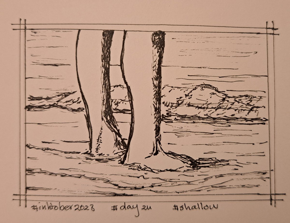 RiaBrands tweet media