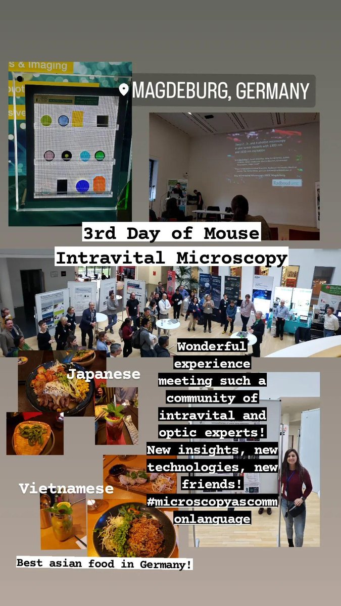 Martina Giampetraglia (@martigiamp) on Twitter photo Beautiful experience really! It was a blast to be able to talk to so many optical and intravital imaging professionals and technology developers! Super happy to join the german intravital community and I cannot wait to meet again! :) Beautiful experience really! It was a blast to be able to talk to so many optical and intravital imaging professionals and technology developers! Super happy to join the german intravital community and I cannot wait to meet again! :)
