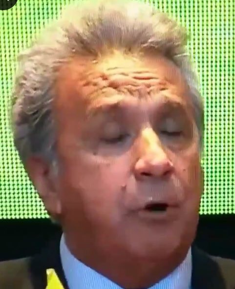 InsistAlfredo's tweet image. @Lenin debe estarse cagando de la risa, literal, esa funda debe estar a reventar 🤣 #pillo