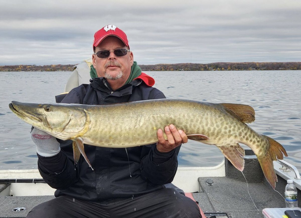 Seth Schoonover tweet media