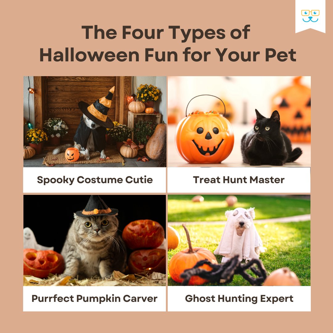 Which spooky activity suits your pet's Halloween spirit? #vieravet #petmemes #halloweenfun