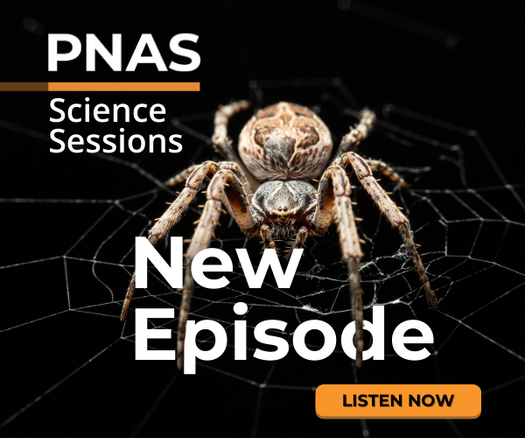 PNASNews's tweet photo. How much do we understand about spiders? In this episode of Science Sessions, PNAS delves into the fascinating world of spider adaptations with mechanical engineer Ronald Miles of @BinghamtonU. 

🎙️ Listen now: https://t.co/k99Z88la5x https://t.co/h0aneGVQTy