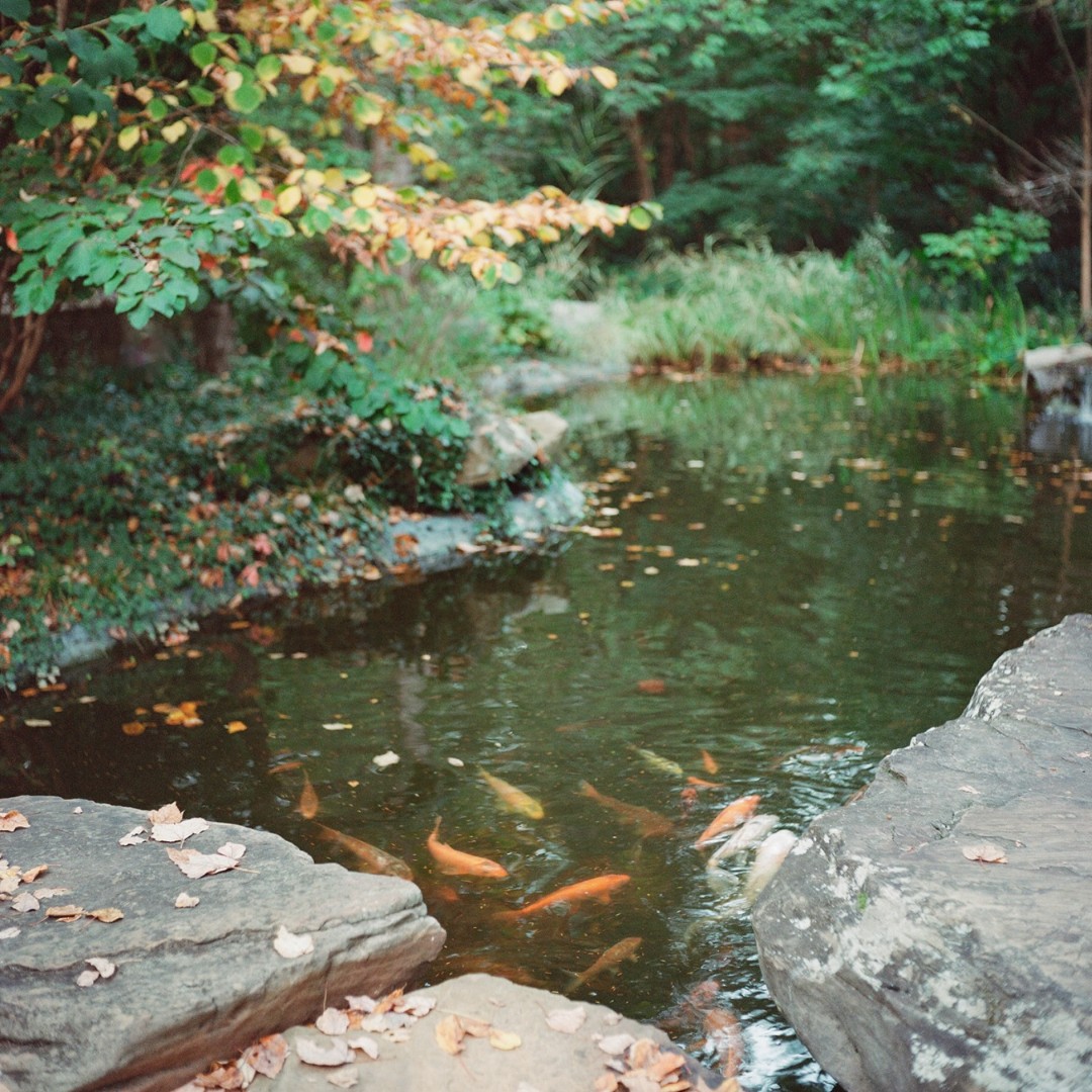 RT Lodge tweet media