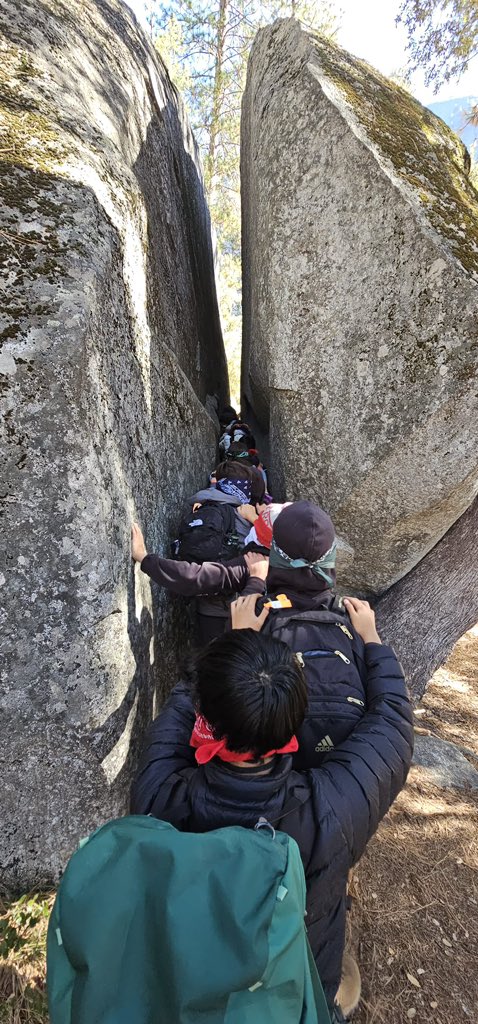 Egan Vikings tweet media