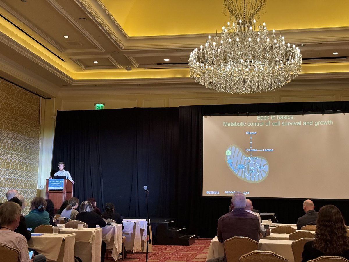 Congrats to @schwoerersimon on his @amsocmatbio award -presenting about a different kind of metabolic matrix 🤓🥳👏