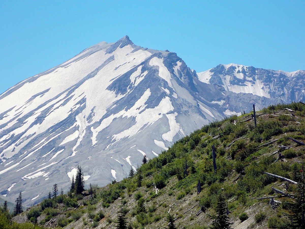 WhitePassByway's tweet photo. Road trip! Take a fall drive into the heart of the Mt. St. Helens Blast Zone and experience the rebirth of the mountain. https://t.co/AdieR2moHP https://t.co/9ab42AlRNN