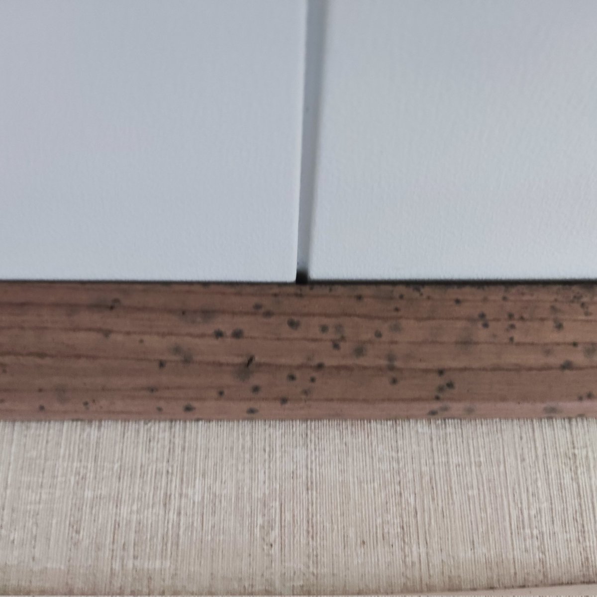 reeeevsy's tweet photo. @haven  We contacted haven regarding poor maintenance of accommodation during our stay with Haven at Devon Cliffs. It's been almost one month and we still haven't had a response.
These are some of the photos. https://t.co/J1TpmFxDVK