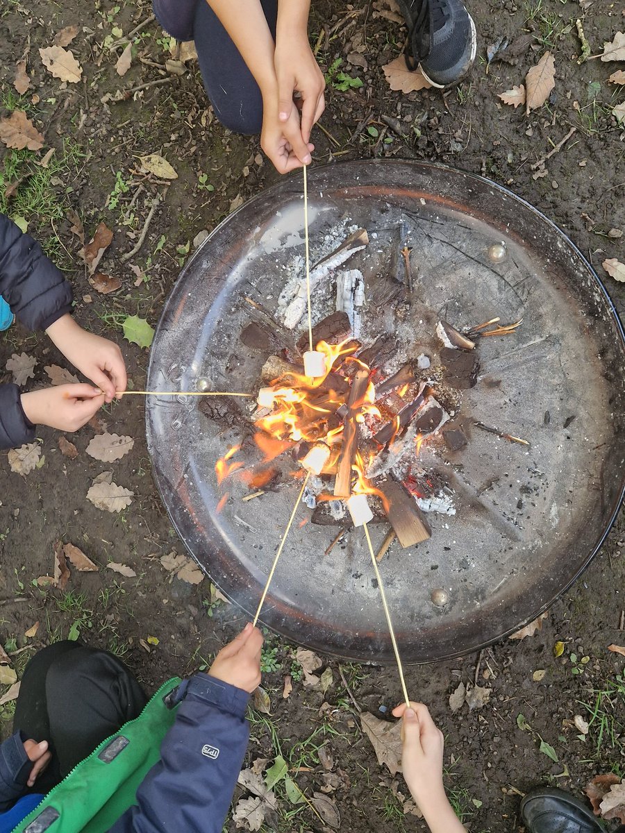 CJS_Allotment's tweet image. A lovely way to end today, celebrating all our hard work in the allotment this half term with our infant allotmenteers 😊🍡🔥 #cjsglobalandlocal @colmoreinf @Colmore_Junior