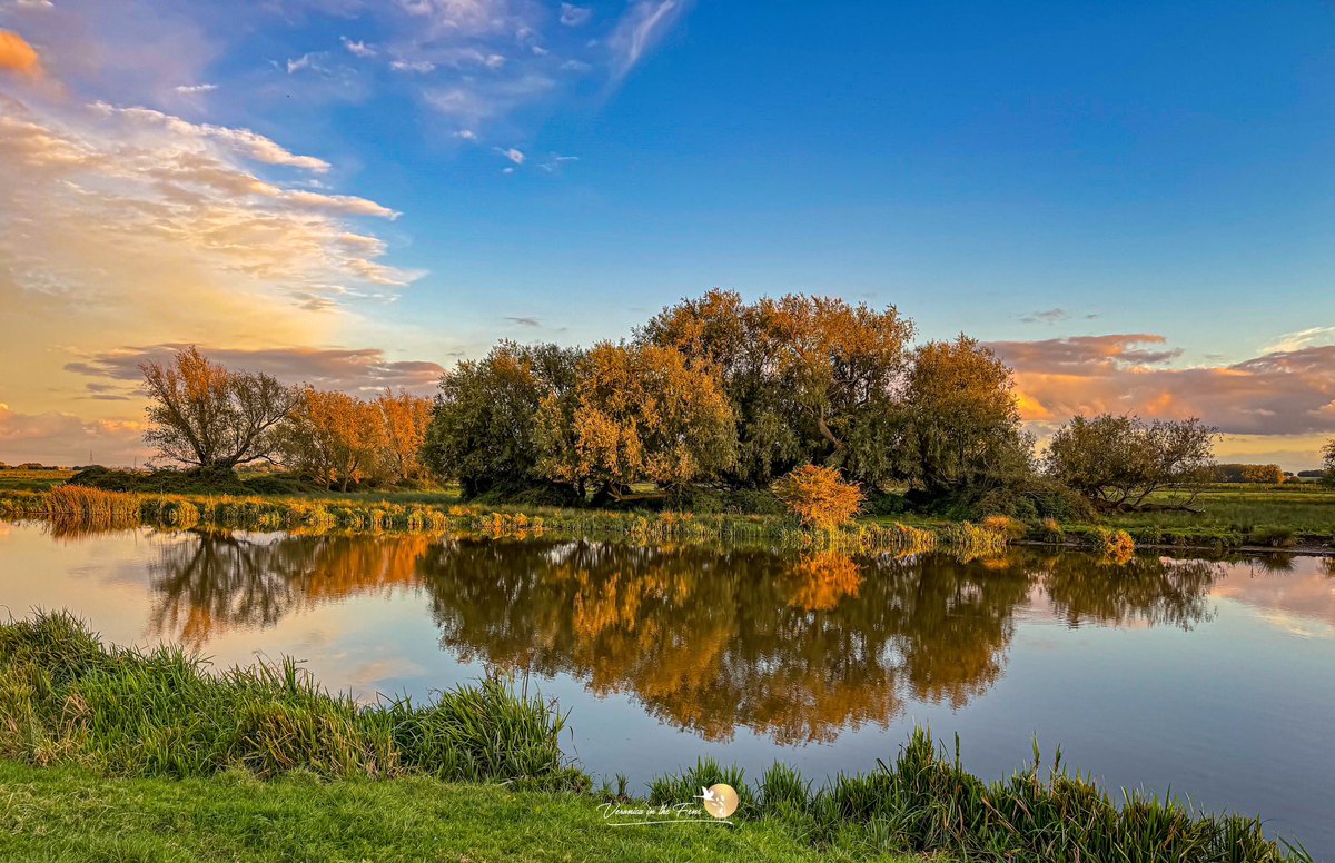 VeronicaJoPo's tweet photo. A few more photos from my sunset walk this Tuesday late afternoon for my #MagTeam Challenge and “Team ExerCCise” 🍂🤗🧡🤗🍂
Ely, Cambridgeshire
https://t.co/jq7lHzMYvf
#LoveNature #MagChallenge #BreastCancerAwarenessMonth https://t.co/nmn9cM4rtX
