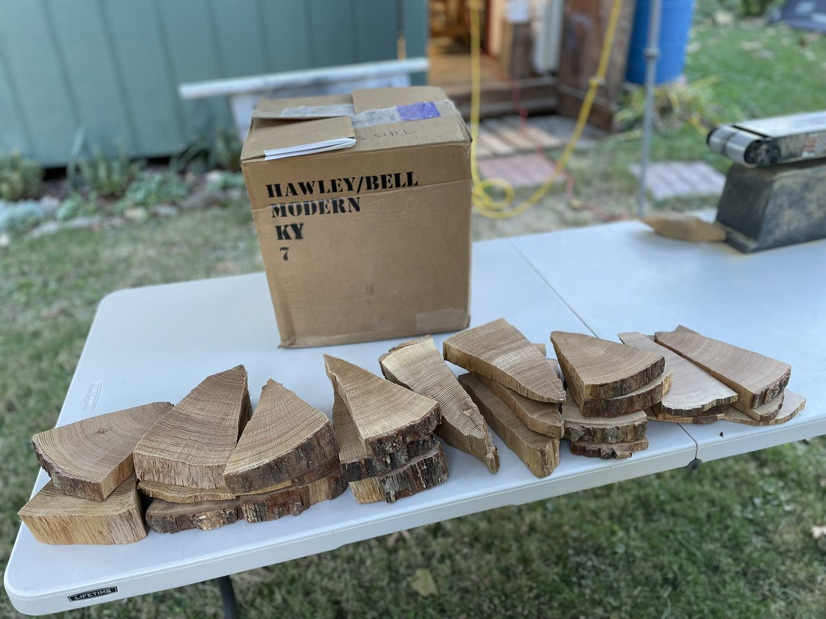 Dr. Maegen Rochner tweet media