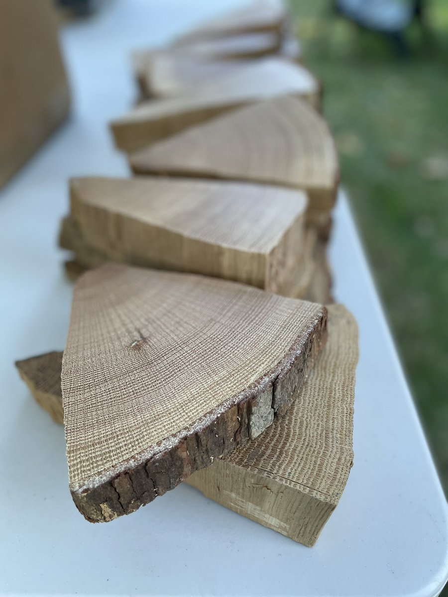 Dr. Maegen Rochner tweet media