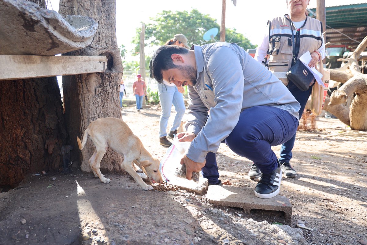 #SEBIDES recorre zonas afectadas por Huracán Norma
 
A nombre del Gobernador <a href="/rochamoya_/">Rubén Rocha Moya</a>  los equipos encabezados por la Secretaria <a href="/mariainesmx/">María Inés Pérez Corral</a>  se recorrieron, en una primera etapa, los 5 municipios más afectados por las lluvias para realizar el censo.
 
#UnidosAvanzamosMás