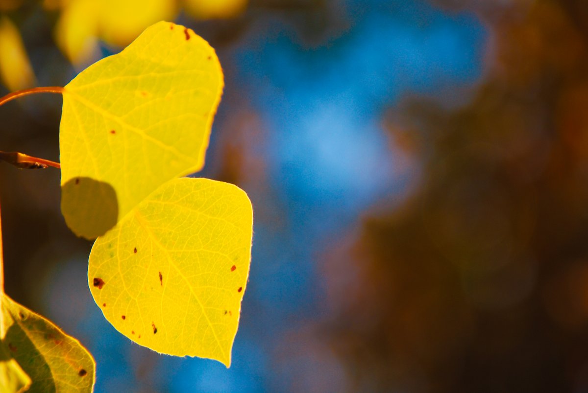 JR Goodwin tweet media