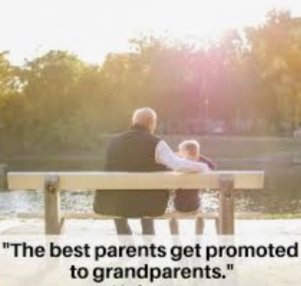 bees_nursery's tweet photo. 💥 GRANDPARENTS DAY COMING SOON 💥 https://t.co/Ng5ytRMQAG