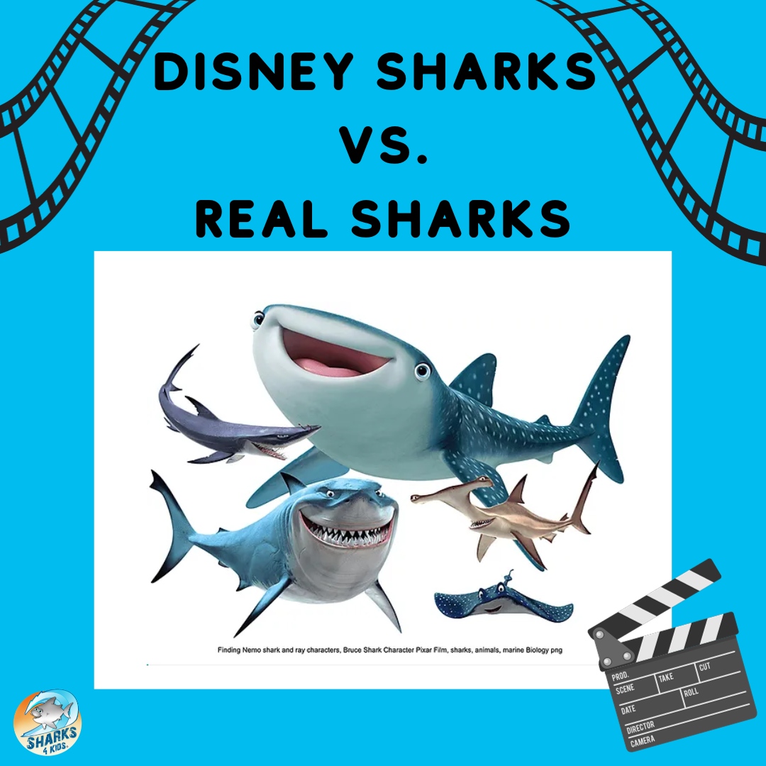 Finding Nemo Sharks