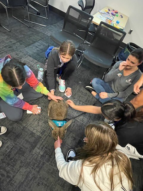 I can’t stop bragging about this team 🫶🏼Exciting times in Northern Kentucky at the Youth Mental Health Summit! 🧠 A fantastic event bringing <a href="/NKCESKids1st/">NKCES</a>  and our community together to tackle important issues. Let's support our youth! 👏 #MentalHealthMatters #ConnectGrowServe