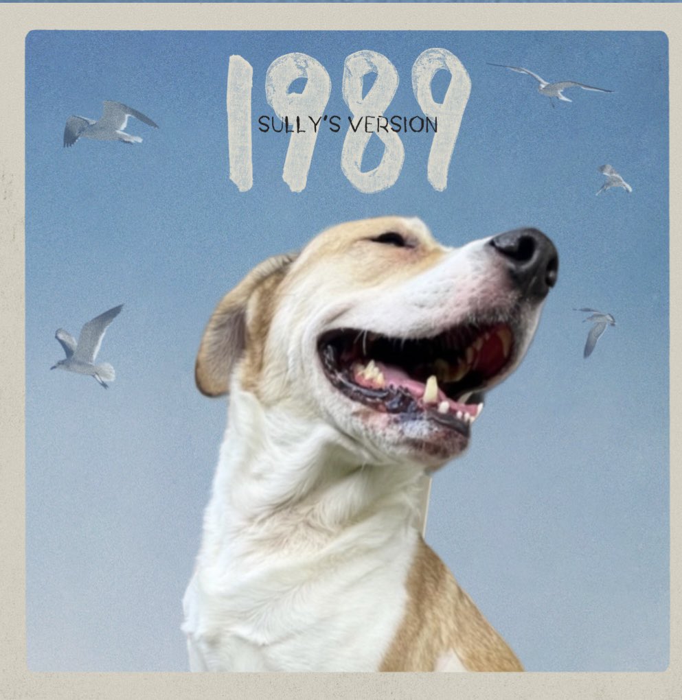 Doctor_Swiftie's tweet photo. Sully is STOKED for 1989 TV this Friday! @taylornation13 https://t.co/ewkIX7RrQl