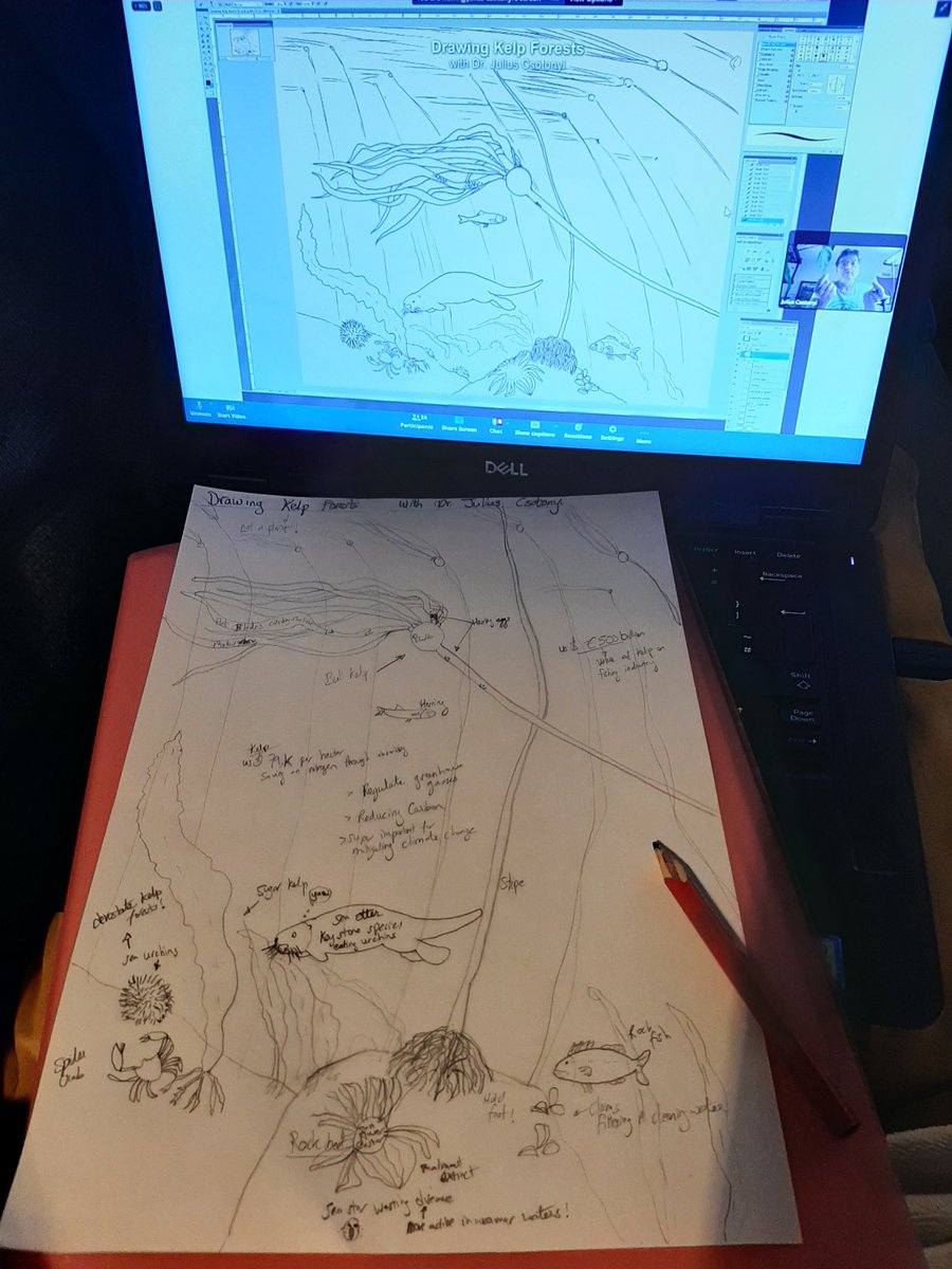 Stephanie Ronan tweet media