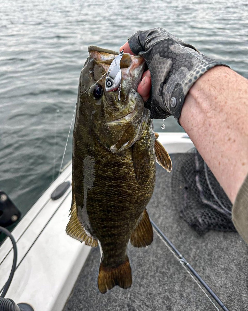 The Lunker Blade is an innovative blade-style bait with adjustable line tie positions for versatile fishing. Whether you're angling in open water, ice fishing, or casting and retrieving, its enticing wobbling action and vibration are sure to entice fish.