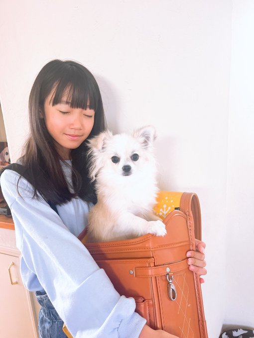 Twitterのコスプレ画像16