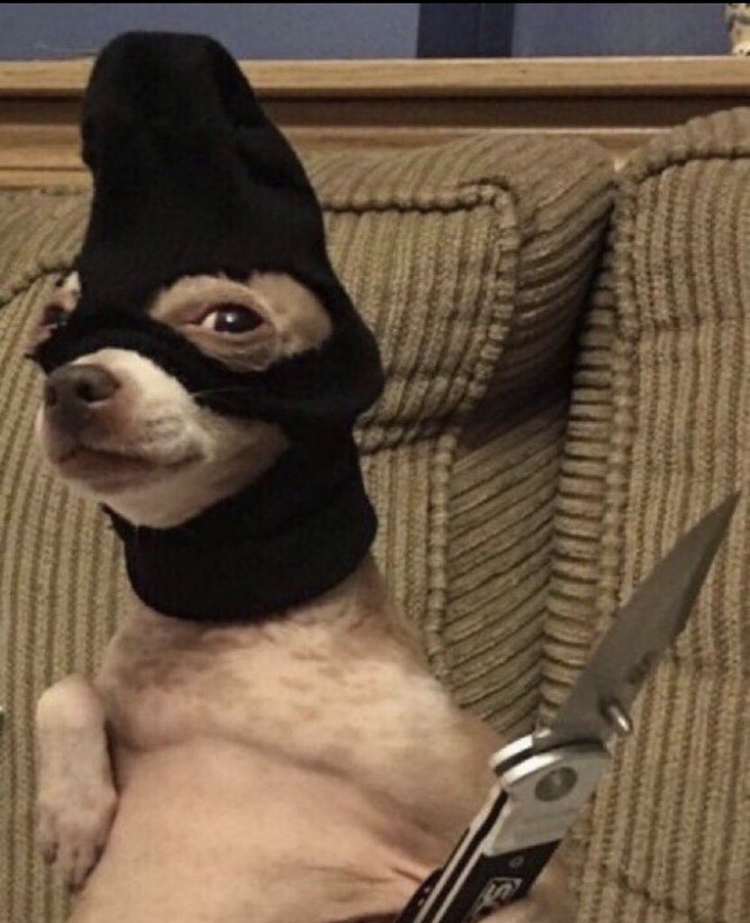 Kalikatxo's tweet photo. Ticketmaster BETTER give me that presale code for Bad Bunny tickets tonight https://t.co/SX8BUaJqxW