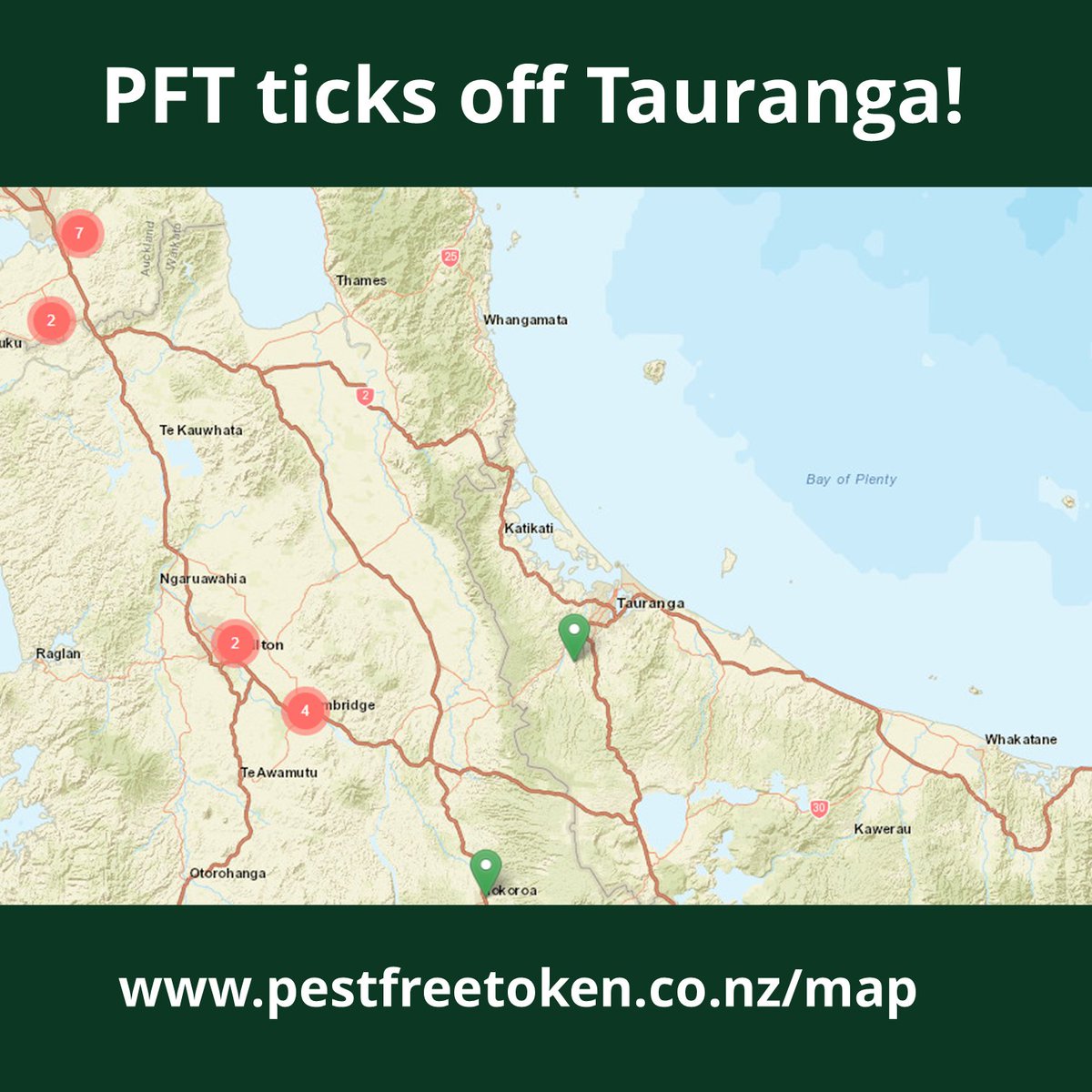 PestfreeToken's tweet photo. Tauranga joins the #PFT map, taking us to:
βοΈ88% of all regions
βοΈ73% of all cities
βοΈ13% of all towns
βοΈ9% of all suburbs.
Get in touch to feature on our map πΊοΈ
We are eyeing up Gisborne, Rotorua, Whanganui, and Palmerston North π
https://t.co/UnRVSmK8F2
#pestfreetoken https://t.co/6aRkDozTlp