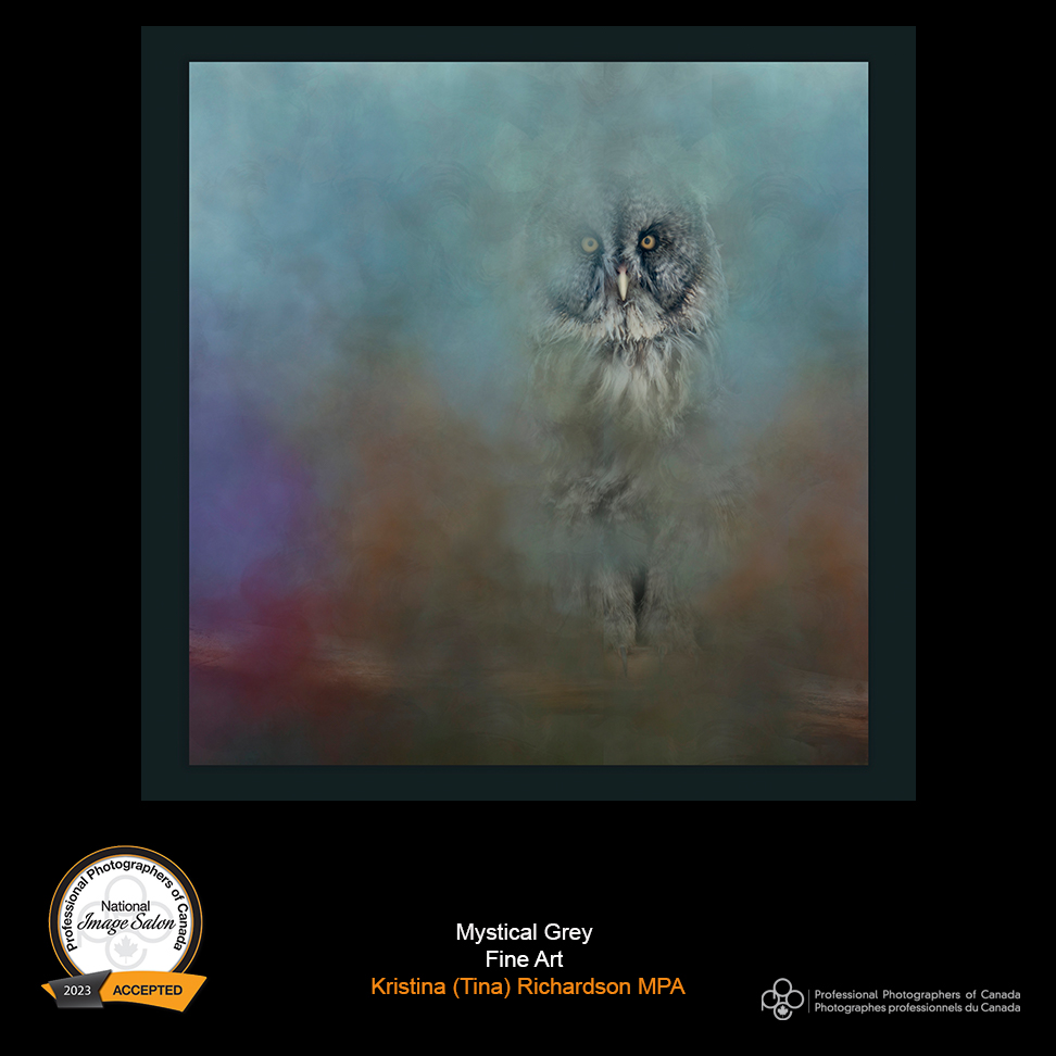 Such  a neat image, with the Owl peeking out from the coloured mist. He  certainly does have a magical feel, doesn't he? "Mystical Grey"  scored  accepted from the Fine Art Class at the 2023 Image Salon. Maker is  Kristina Richardson, MPA, of Ruby Blu Photographic Arts