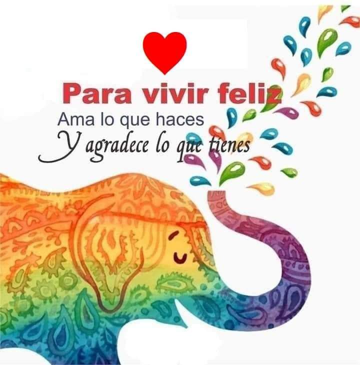 🌹🌹🌹