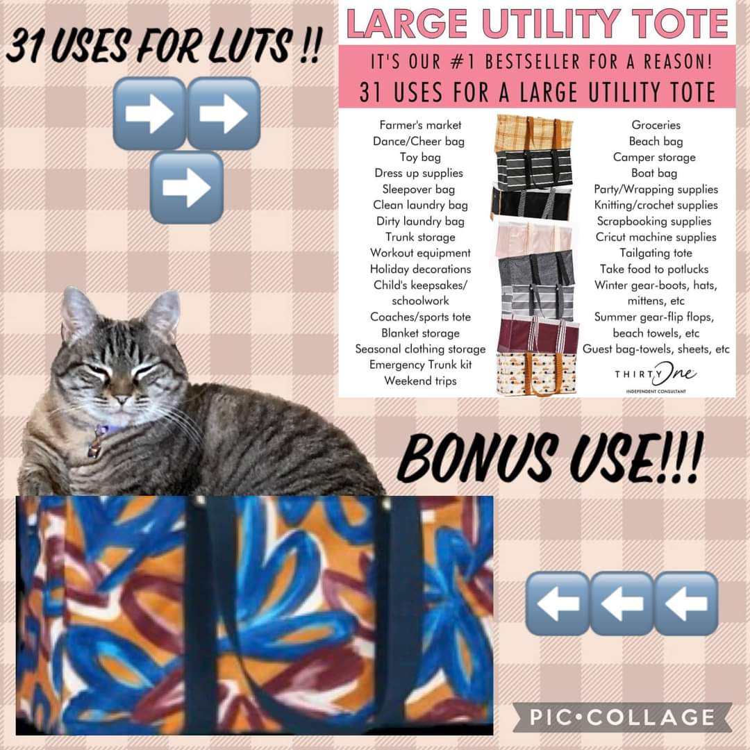 Kat's Bags by Thirty-one tweet media