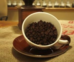 drinkcoffeetea's tweet image. Sip, savor, and thrive! Elevate your coffee game with Ganoderma-infused goodness. 🍄✨ Boost immunity, enhance focus, and indulge in a cup that loves your body back. ☕️🌿 Experience the benefits drinkcoffeetea.com/ganoderma-coff… #GanodermaCoffee #WellnessBre