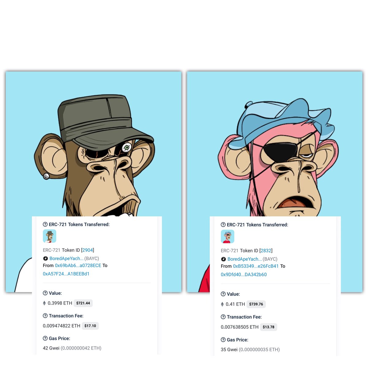 jbondwagon's tweet image. How it started vs. How it’s going

Surreal to see random apes I bought back in 2021 make it out in an IRL display in 2023 🦍

Special thanks to @d_collectiverse &amp;amp; @0917Lifestyle for bringing some Filipino Apes to life! 🙏🇵🇭