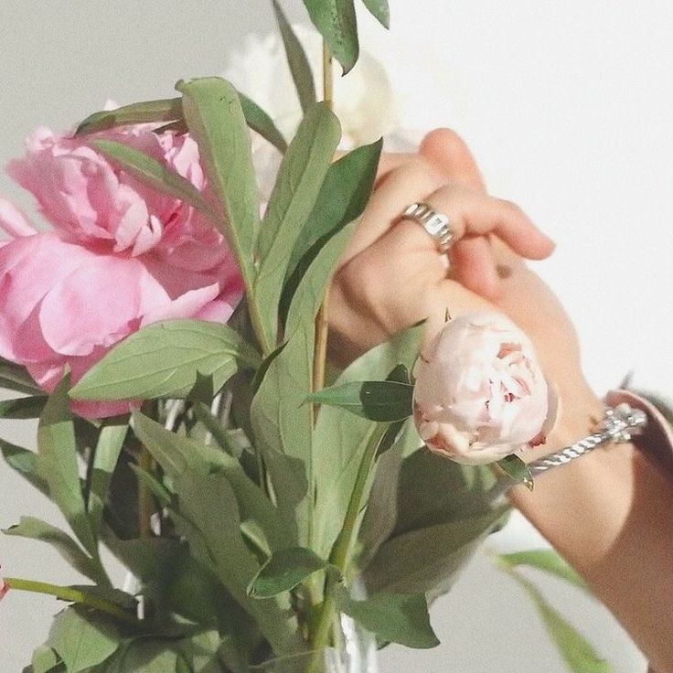 ͏ ⠀⠀⠀⠀⠀⠀

͏ ⠀⠀⠀
͏ ⠀⠀ 
ㅤ    a  new post from  ヒラノ! 
ㅤ    10月25日 ﹆  fleur blomst  
͏͏͏͏͏͏

ㅤ    received several bouquet 
ㅤ    orders today! hope my clients
 ㅤ   will like my arrangements.
ㅤ    good morning, btw 💐

͏ ⠀⠀